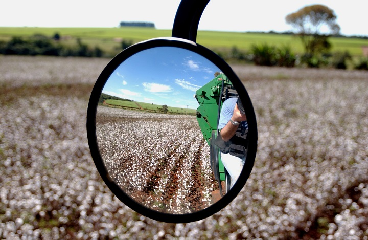 Estudio O'Farrell asesora a Monsanto en venta de semillero de algodón en Argentina