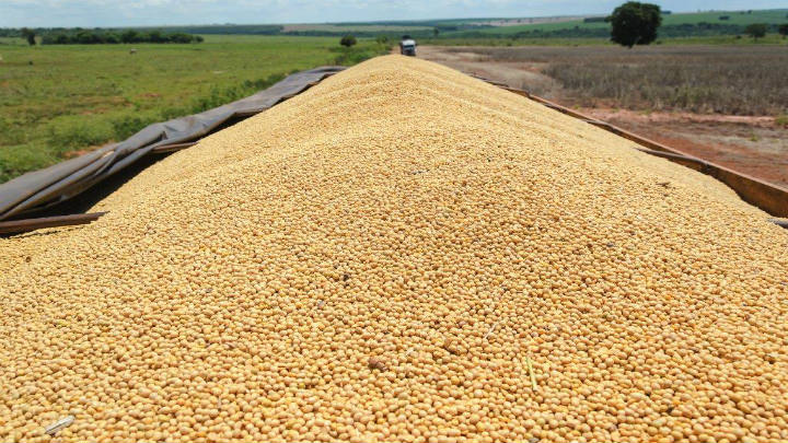 Syngenta firma acuerdo con COFCO para adquirir negocio de semillas de Nidera en Latinoamérica