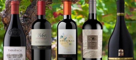 Algunas marcas del portafolio de VSPT son San Pedro, Leyda, Tarapacá, La Celia y Graffigna / VSPT Wine Group.