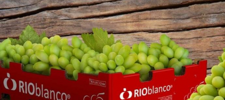 Además de uvas de mesa, Río Blanco produce cítricos (mandarinas y naranjas), granadas, kiwis y cerezas./ Tomada del sitio web de la empresa