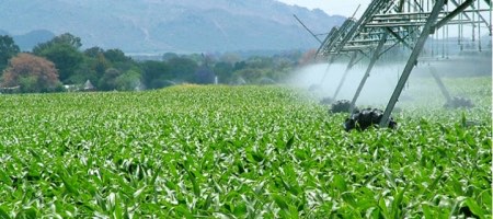 Actualización: Mosaic concluye adquisición de negocio de fertilizantes de Vale