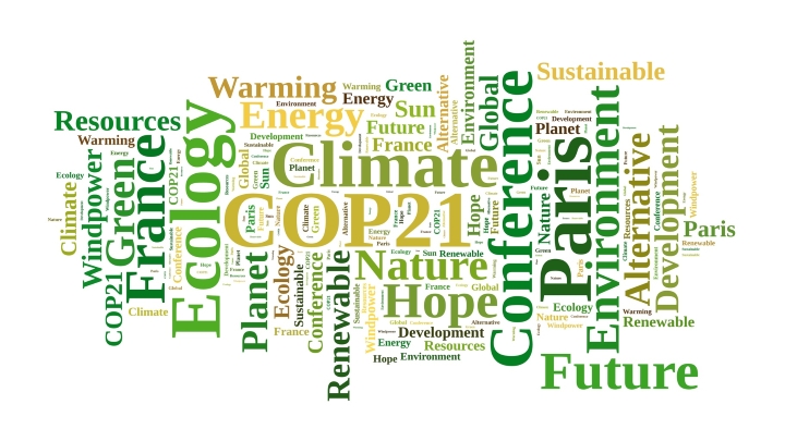 COP 21: ¿acuerdo histórico o letra muerta?