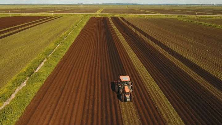 Chile y Perú compiten en agroexportaciones / Archivo