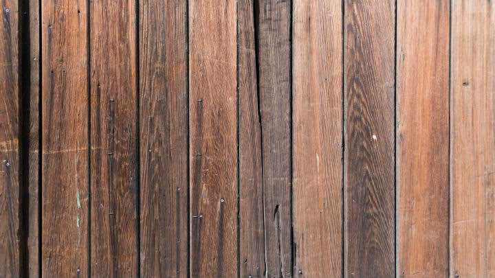 Arauco es uno de los mayores productores de celulosa y madera del mundo / Pixabay