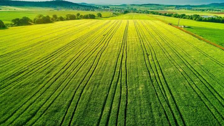 La emisión de CRA fomenta la producción agrícola en Brasil / Bigstock