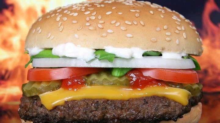 BK Brasil tiene los derechos exclusivos para administrar la marca Burger King / Pixabay