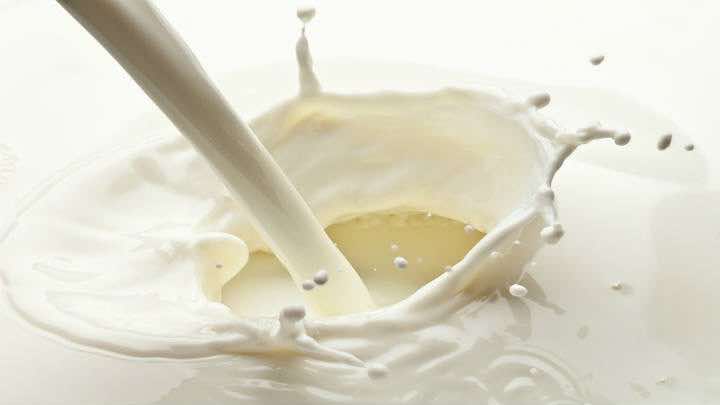 Bela Vista Dairy asumirá operación y personal de tres plantas en las que Nestlé produce leche UHT en Brasil / Fotolia