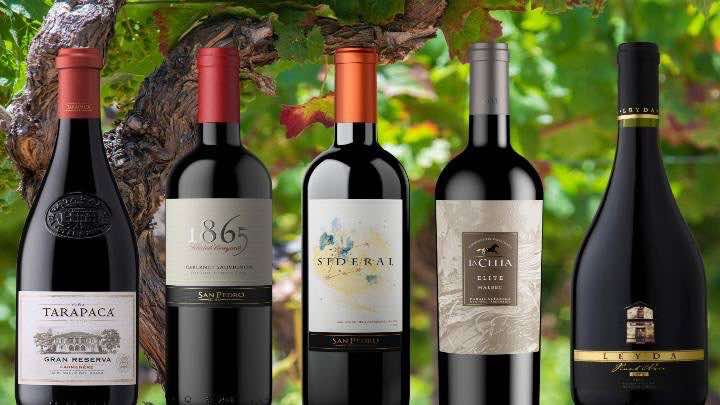 Algunas marcas del portafolio de VSPT son San Pedro, Leyda, Tarapacá, La Celia y Graffigna / VSPT Wine Group.