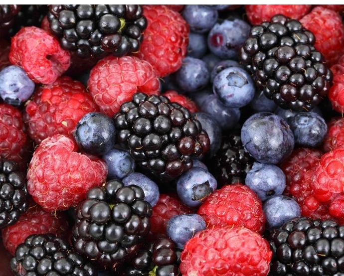 Agroberries produce y comercializa arándanos, frambuesas y moras./ Pixabay