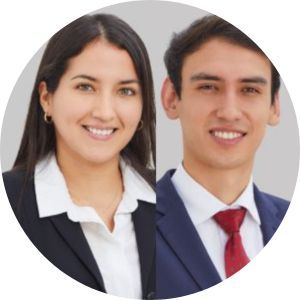 Mercedes Ramírez Alvarez y Marcelo Castilla Baez *