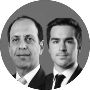 Rodrigo Stein y José Agustín Lagos*