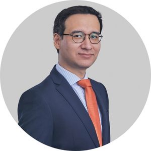 Sebastian Gamarra Abarca*
