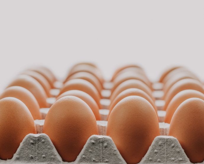 Global Eggs es una de las cinco empresas productoras de huevo más grandes del mundo / Canva  