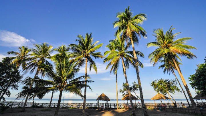Cuatro firmas concretan venta de Playa Grande Golf & Resort en República Dominicana