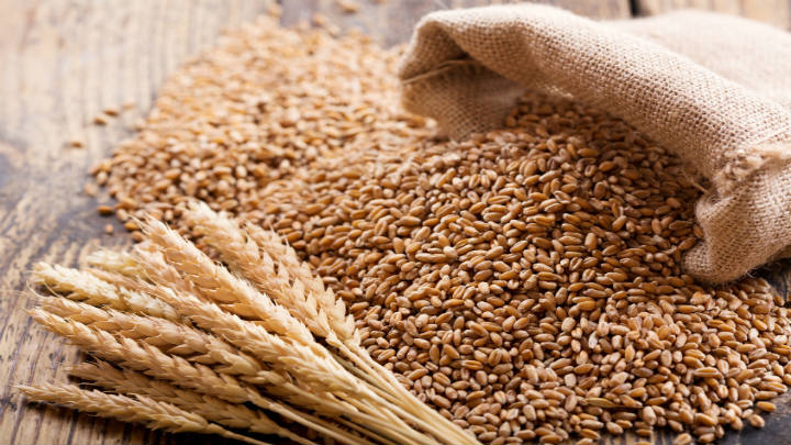 Syngenta concluye adquisición de negocio de semillas de COFCO