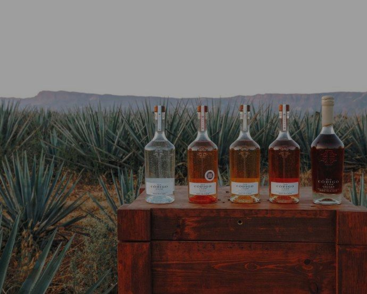 LexLatin  Pernod Ricard compra participación mayoritaria en tequila Código  1530