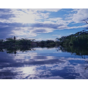 El caso Chevron, relacionado con un litigio por contaminación en la Amazonia, comenzó hace ya más de 25 años / Pixabay.