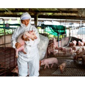 Vall Companys es un grupo agroalimentario líder en España, productor de carne de cerdo y pollo/ Canva.