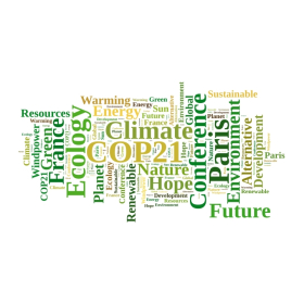COP 21: ¿Acuerdo histórico o letra muerta?