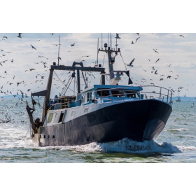 Controversia por pesca de jurel entre Perú, Chile y Vanuatu. Foto: archivo