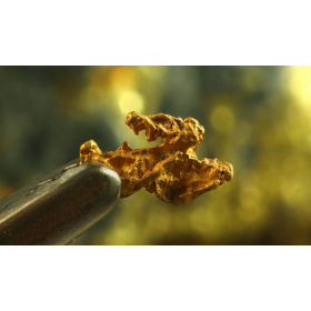 Brio Gold adquiere derechos de Carpathian Gold en Riacho dos Machados