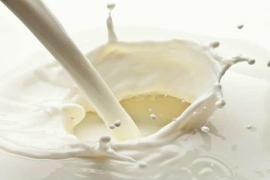 Surlat y Quillayes compiten en el mercado de lácteos chileno / Fotolia
