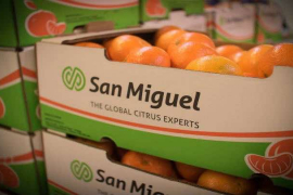 San Miguel produce y exporta cítricos como naranjas, limones, mandarinas y pomelos / San Miguel Global