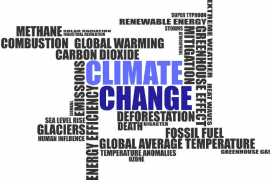 El lanzamiento del documento coincidió con la Conferencia de las Naciones Unidas sobre Cambio Climático de 2021, la COP26 / Pixabay.