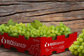 Además de uvas de mesa, Río Blanco produce cítricos (mandarinas y naranjas), granadas, kiwis y cerezas./ Tomada del sitio web de la empresa
