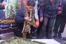 Desde 2006 Bolivia cuenta con un Viceministerio para la hoja de coca./ Tomada de la página del despacho en Facebook