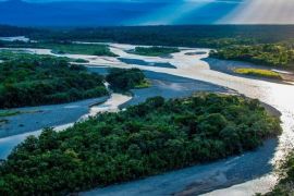 Ecuador destinará USD 460 millones al Programa del Biocorredor Amazónico en los próximos 17 años./ Tomada del sitio web de The Nature Conservancy (TNC).