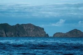 Guafo es la isla de mayor tamaño del archipiélago de Chiloé después de isla Grande./ Tomada del sitio web de WWF - Meredith Konut.