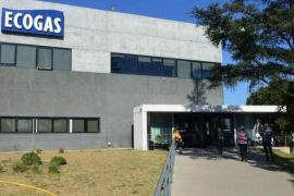 Ecogas distribuye gas natural a través de Distribuidora de Gas del Centro S.A. y Distribuidora de Gas Cuyana S.A./ Tomada del sitio web de la empresa.