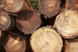 La reducción de la generación de residuos y la priorización de su aprovechamiento es parte de las obligaciones que establece / Unsplash, Marc Pell.