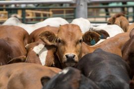 La adquisición está sujeta a los ajustes de cierre habituales en cinco países / Canva