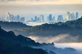 La entrada en vigor del nuevo régimen plantea una pregunta: ¿seguirá siendo Panamá una jurisdicción competitiva? / Foto: Unsplash - Zdeněk Macháček.