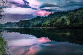 Amazônia para Todos es un programa lanzado en el marco de la COP30. / Foto: Canva.