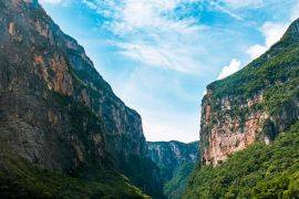 La iniciativa fue anunciada el 26 de agosto por la presidenta Claudia Sheinbaum y la secretaria de Medio Ambiente y Recursos Naturales, Alicia Bárcena. / Foto: Unsplash - Gabriel Tovar.