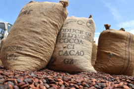 Cuatro firmas participan en compra de unidad de cacao de ADM