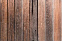 Arauco es uno de los mayores productores de celulosa y madera del mundo / Pixabay