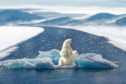 La COP 25 se realizará del 2 al 13 de diciembre en Santiago de Chile / Pixabay