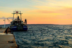 Empresas aprovechan subproductos de la industria pesquera para diversas aplicaciones / Bigstock