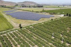 La cartera de proyectos solares fotovoltaicos operativos, en construcción o por construirse de Matrix Renewables es de 2,1 gigavatios. / Tomada de Matrix Renewables - Linkedin