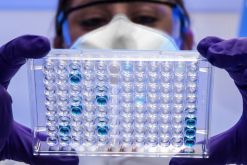 La prestataria fue fundada hace más de 60 años y opera en hospitales públicos y privados en México. / Tomado de CDC, de Unsplash. 