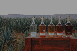 Código 1530 ofrece una amplia gama de tequilas premium en varios países. / Tomado del Facebook de la empresa.
