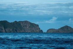Guafo es la isla de mayor tamaño del archipiélago de Chiloé después de isla Grande./ Tomada del sitio web de WWF - Meredith Konut.