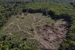 El ISA señaló que la ley general de licencias ambientales pone en riesgo 18 millones de hectáreas y más de 3.000 áreas protegidas. / Foto: Getty Images.