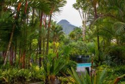 Tabacón Thermal Resort & Spa está ubicado a los pies del Volcán Arenal, en el distrito La Fortuna de Costa Rica./ Tomada del sitio web de la instalación hotelera.