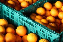 Argen-Pool alquila e higieniza contenedores de plástico reutilizables en la industria de alimentos. Cuenta con tres divisiones: envases RPC, frío e insumos./ Tomada del sitio web de la empresa.