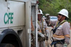 CFE genera, transmite y distribuye electricidad en México./ Tomada del sitio web de la empresa.